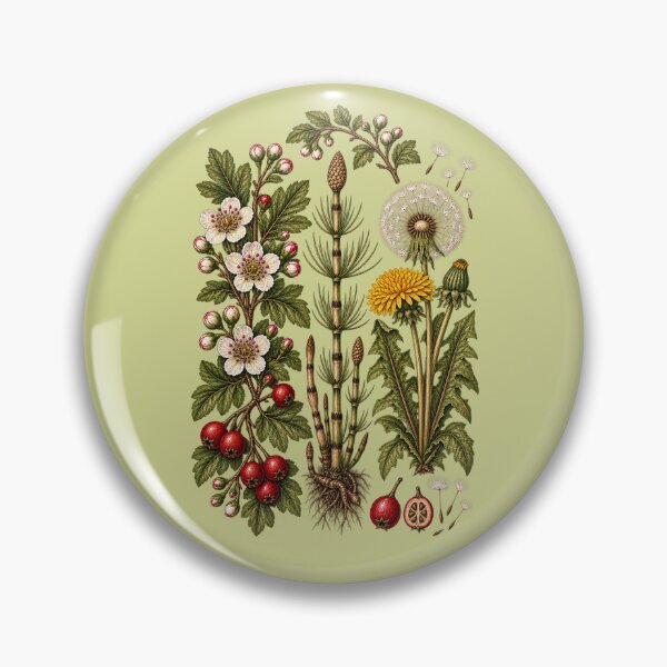 Item preview, Vintage Hawthorn, Horsetail and Dandelion Botanical Art designed and sold by Anyshca.