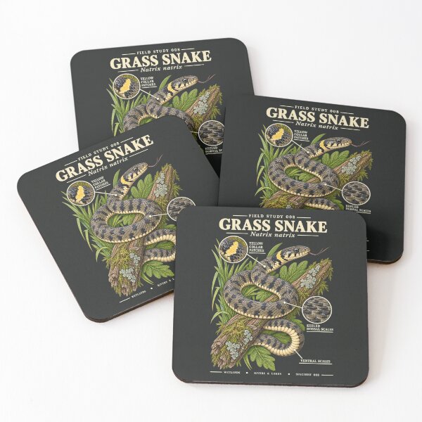 Item preview, Grass Snake Scientific Illustration Reptile Field Study designed and sold by CalmCapy Co.