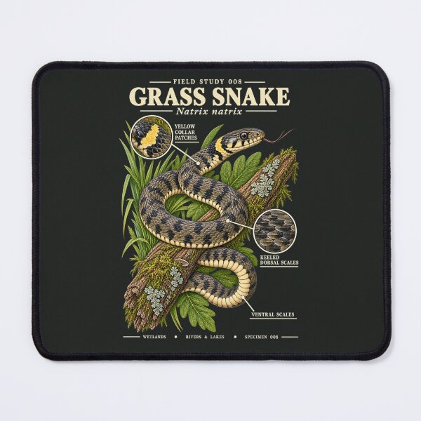 Item preview, Grass Snake Scientific Illustration Reptile Field Study designed and sold by CalmCapy Co.