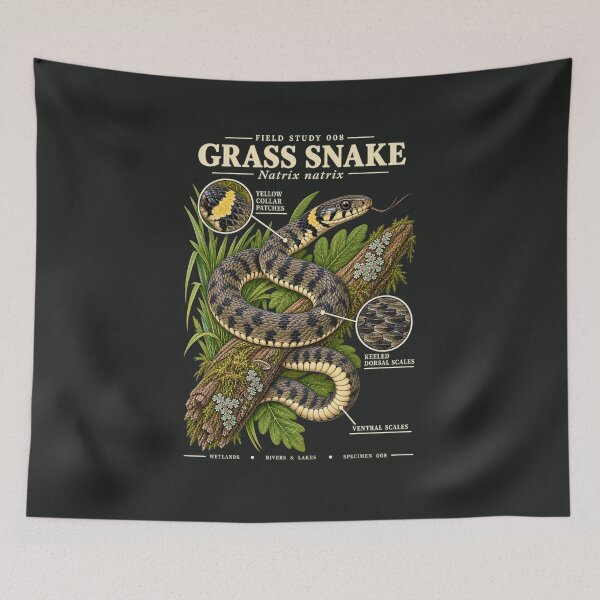 Item preview, Grass Snake Scientific Illustration Reptile Field Study designed and sold by CalmCapy Co.