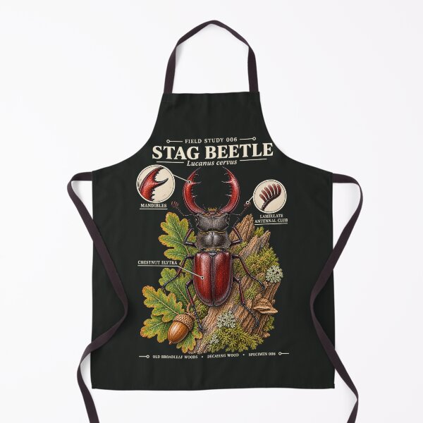Item preview, Stag Beetle Scientific Illustration Natural History Study designed and sold by CalmCapy Co.