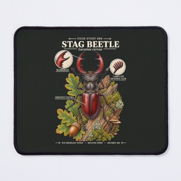 Item preview, Stag Beetle Scientific Illustration Natural History Study designed and sold by CalmCapy Co.