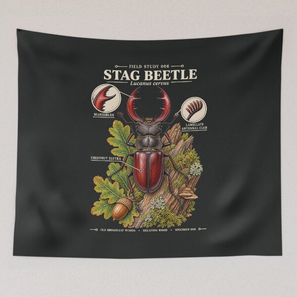 Item preview, Stag Beetle Scientific Illustration Natural History Study designed and sold by CalmCapy Co.
