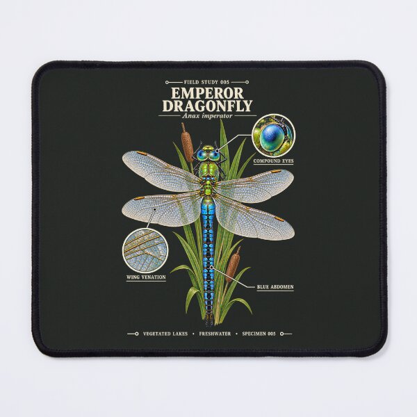 Item preview, Emperor Dragonfly Scientific Illustration Field Study designed and sold by CalmCapy Co.