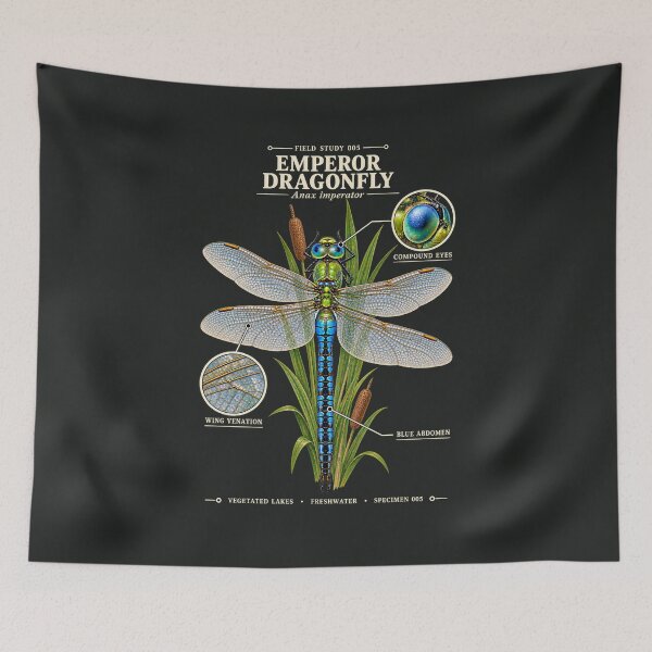 Item preview, Emperor Dragonfly Scientific Illustration Field Study designed and sold by CalmCapy Co.