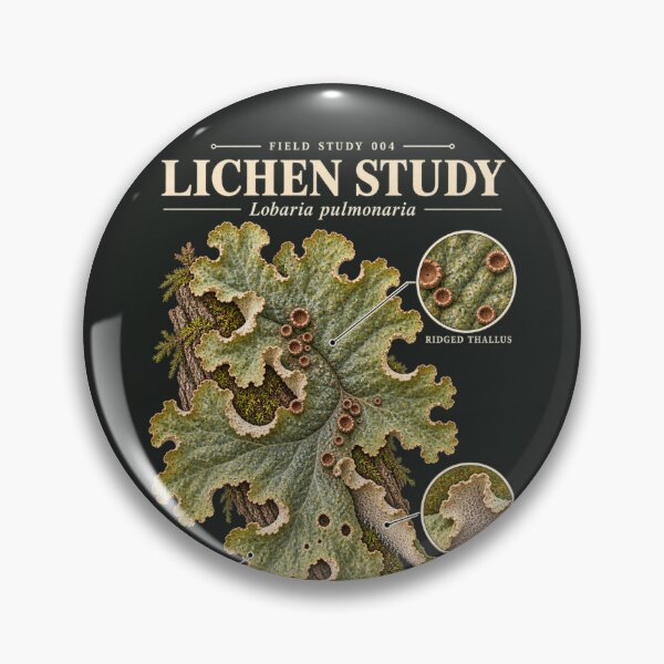 Item preview, Lichen Scientific Illustration Natural History Field Study designed and sold by CalmCapy Co.