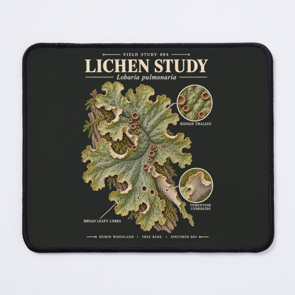 Item preview, Lichen Scientific Illustration Natural History Field Study designed and sold by CalmCapy Co.