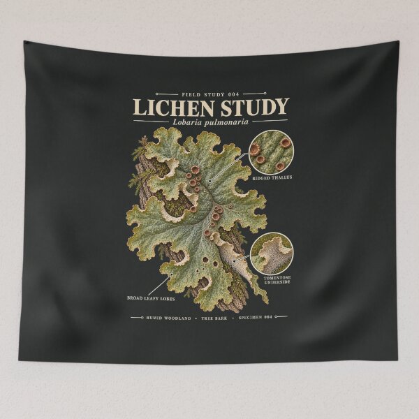 Item preview, Lichen Scientific Illustration Natural History Field Study designed and sold by CalmCapy Co.