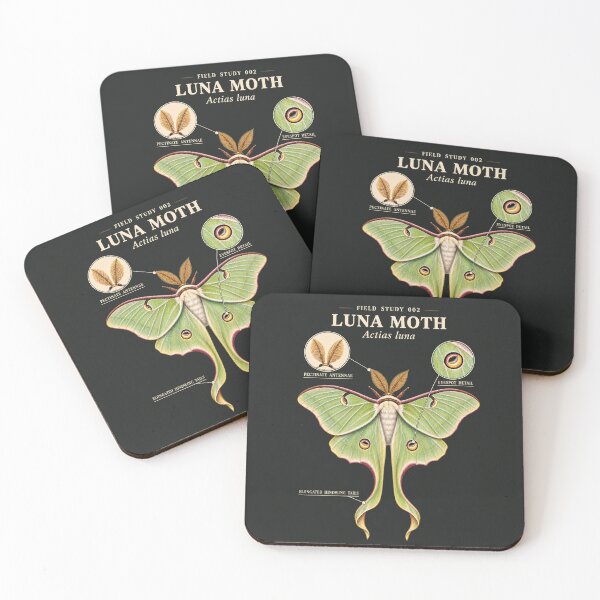 Item preview, Luna Moth Scientific Illustration Natural History Study designed and sold by CalmCapy Co.