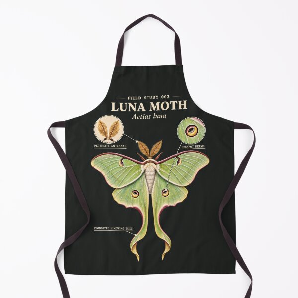 Item preview, Luna Moth Scientific Illustration Natural History Study designed and sold by CalmCapy Co.