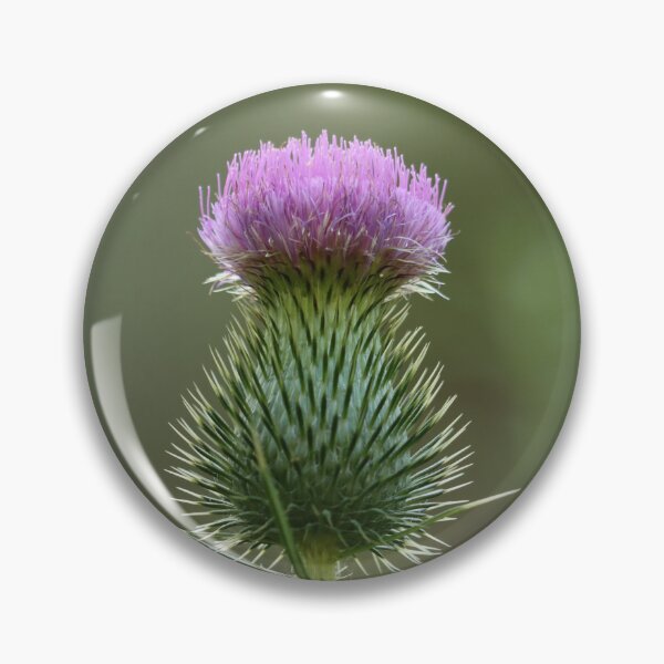 Item preview, Thorny Beauty designed and sold by LisaNaturePhoto.