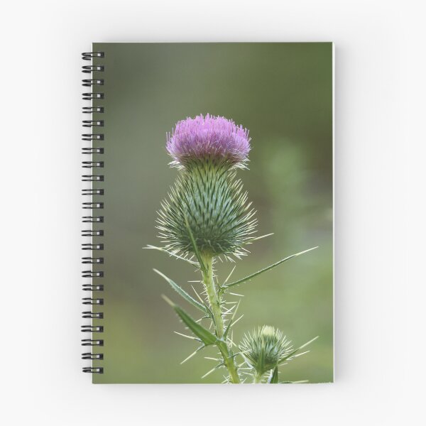 Item preview, Thorny Beauty designed and sold by LisaNaturePhoto.