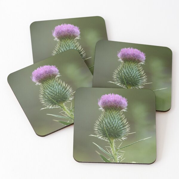Item preview, Thorny Beauty designed and sold by LisaNaturePhoto.