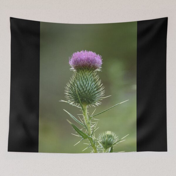 Item preview, Thorny Beauty designed and sold by LisaNaturePhoto.