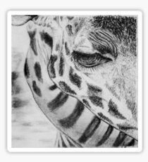 Girafe Sticker