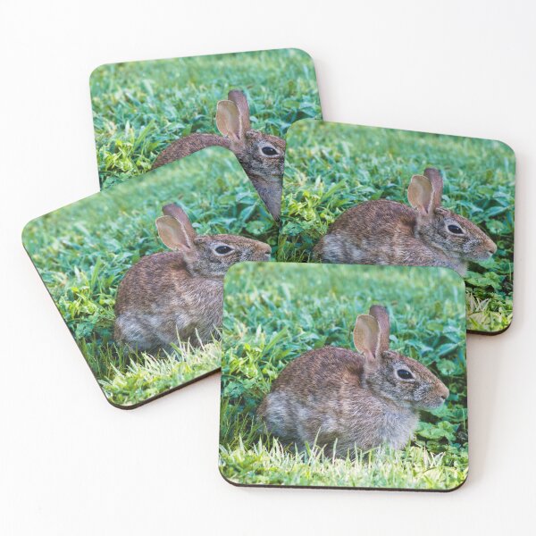 Item preview, summer day rabbit shoot designed and sold by derekrich.