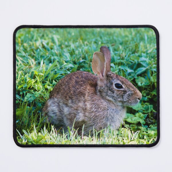 Item preview, summer day rabbit shoot designed and sold by derekrich.