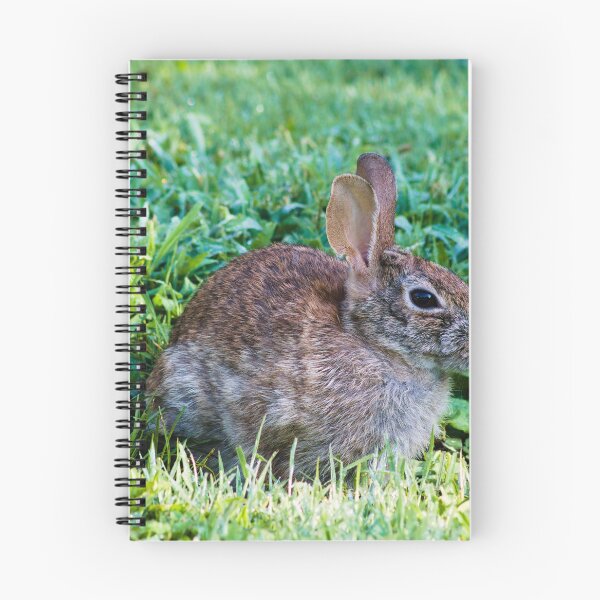 Item preview, summer day rabbit shoot designed and sold by derekrich.