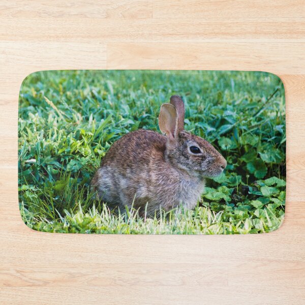 Item preview, summer day rabbit shoot designed and sold by derekrich.