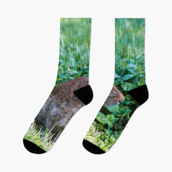 Item preview, summer day rabbit shoot designed and sold by derekrich.