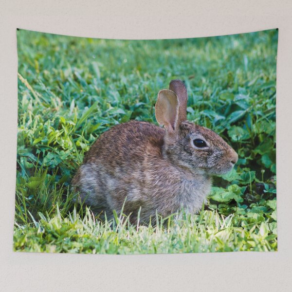Item preview, summer day rabbit shoot designed and sold by derekrich.