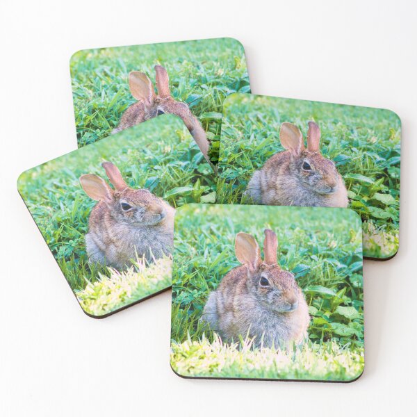 Item preview, another bunny to photo designed and sold by derekrich.