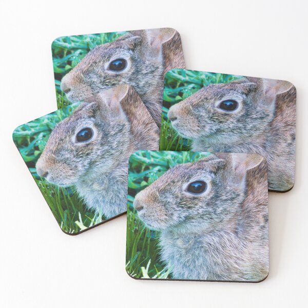 Item preview, rabbit photo shoot close-up designed and sold by derekrich.