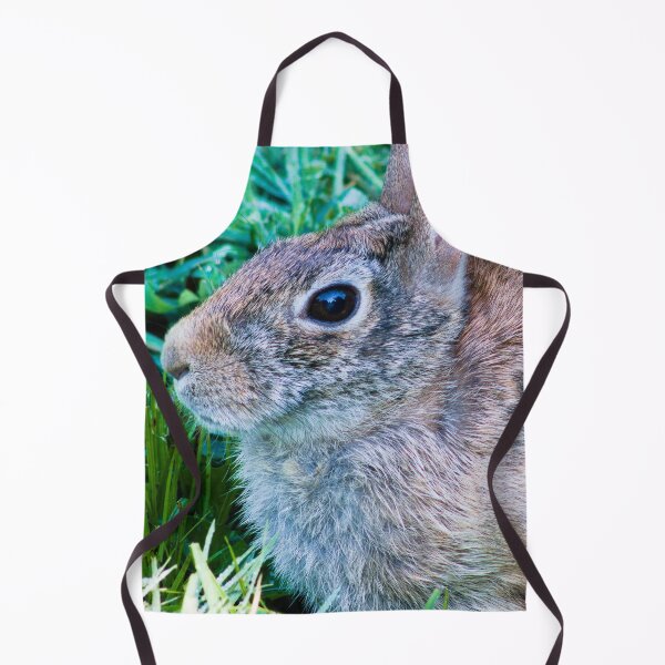 Item preview, rabbit photo shoot close-up designed and sold by derekrich.