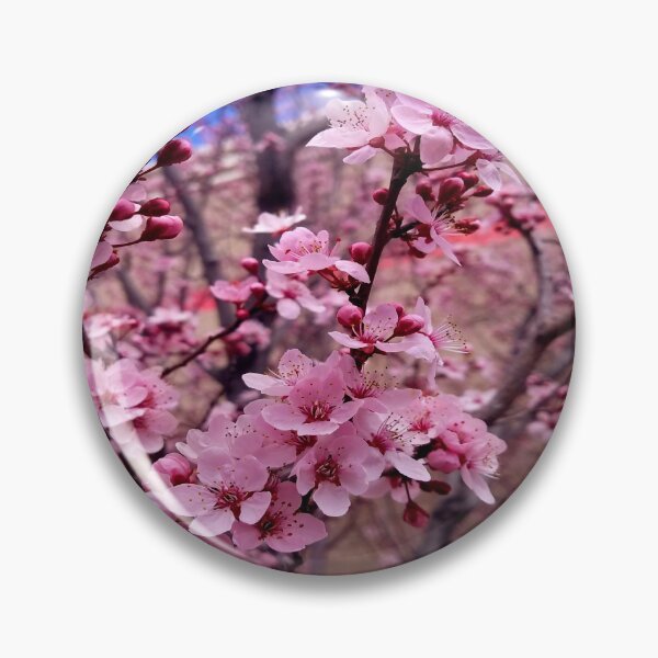 Item preview, Bold Cherry Blossoms  designed and sold by COCO's Photos.