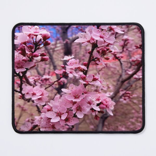 Item preview, Bold Cherry Blossoms  designed and sold by COCO's Photos.
