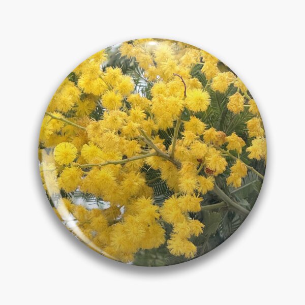 Item preview, Golden Mimosa Acacia Tree in Full Spring Bloom designed and sold by BalkanBloomArt.