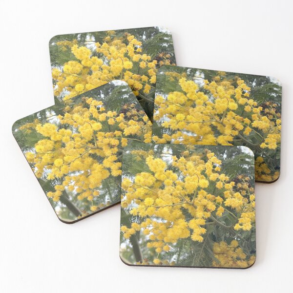 Item preview, Golden Mimosa Acacia Tree in Full Spring Bloom designed and sold by BalkanBloomArt.
