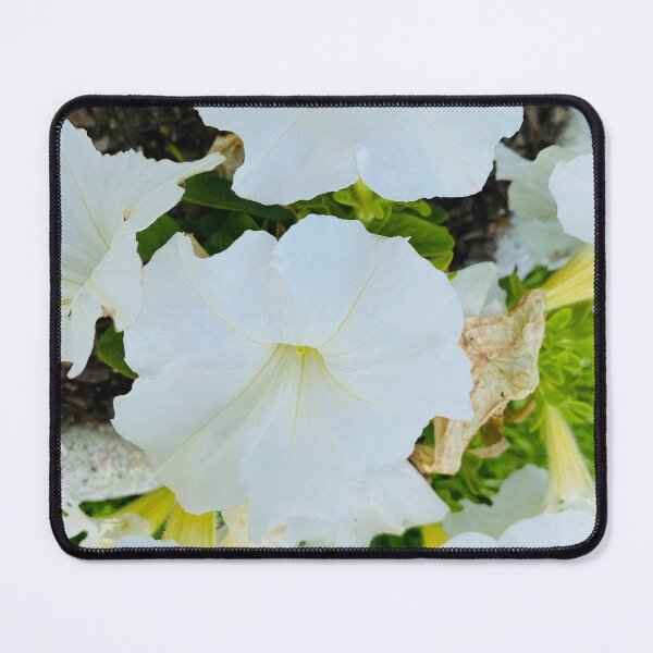 Item preview, Pristine White Petunia Blossom Garden Cluster designed and sold by BalkanBloomArt.