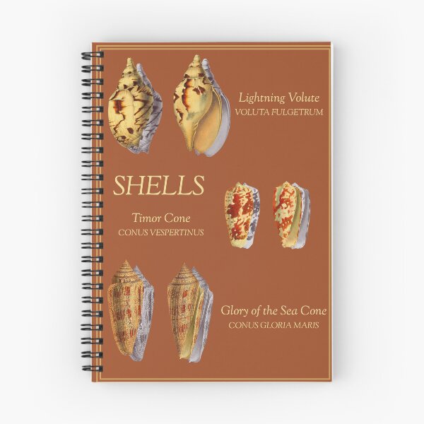Item preview, Vintage Shell Poster Digital Prints (Orange-Brown) designed and sold by MarinePrints.