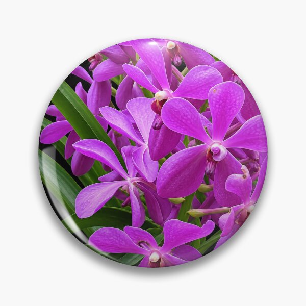 Item preview, Vibrant Cluster of Purple Mokara Brchid blooms Shapes Mania designed and sold by Shapes-Mania.