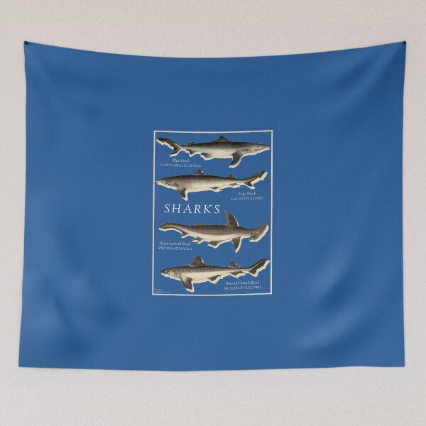 Item preview, Vintage Shark Poster Digital Prints (Blue) designed and sold by MarinePrints.