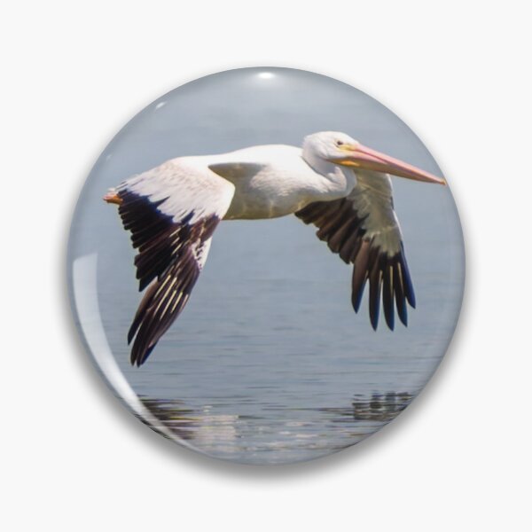 Item preview, Pelican Winged Reflection in Sky Blue Water designed and sold by South 500 Photography.