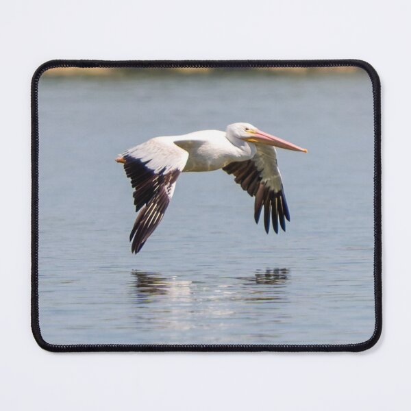 Item preview, Pelican Winged Reflection in Sky Blue Water designed and sold by South 500 Photography.