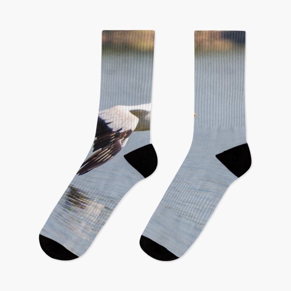 Item preview, Pelican Winged Reflection in Sky Blue Water designed and sold by South 500 Photography.