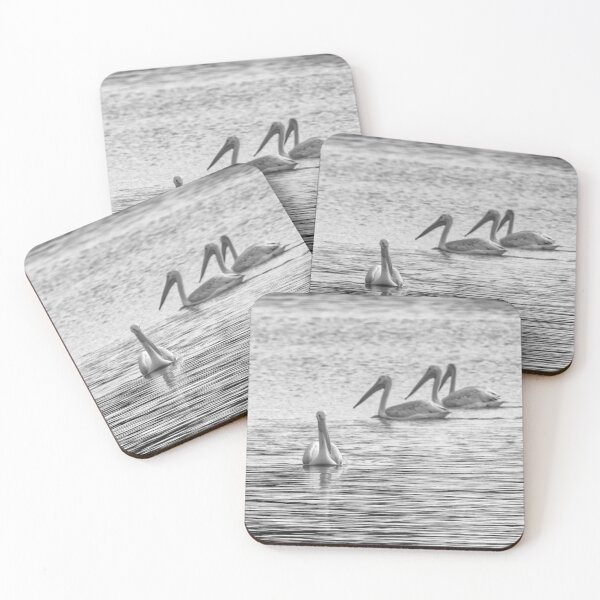 Item preview, Four Pelicans in Black and White designed and sold by South 500 Photography.