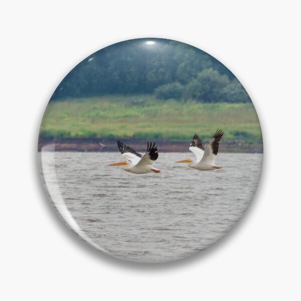 Item preview, Two Pelicans Flying in Sync across Wind Swept Water.  designed and sold by South 500 Photography.