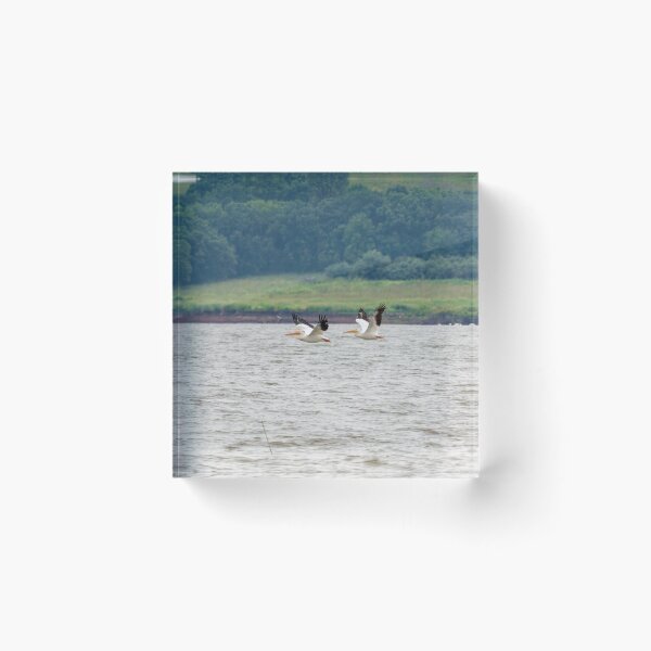 Item preview, Two Pelicans Flying in Sync across Wind Swept Water.  designed and sold by South 500 Photography.