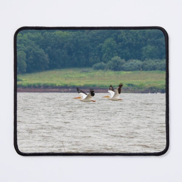 Item preview, Two Pelicans Flying in Sync across Wind Swept Water. designed and sold by South 500 Photography.