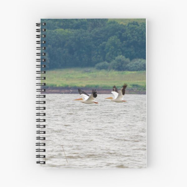 Item preview, Two Pelicans Flying in Sync across Wind Swept Water.  designed and sold by South 500 Photography.