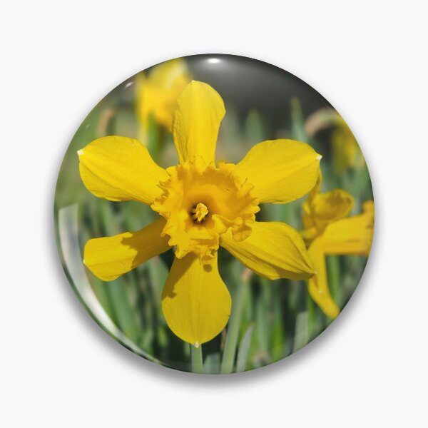 Item preview, Dynamic Daffodil designed and sold by Kat Simmons.