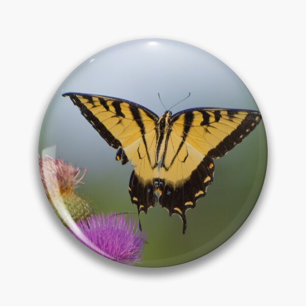 Item preview, Yellow Tiger Swallowtail photographed  just after taking off.  designed and sold by South 500 Photography.