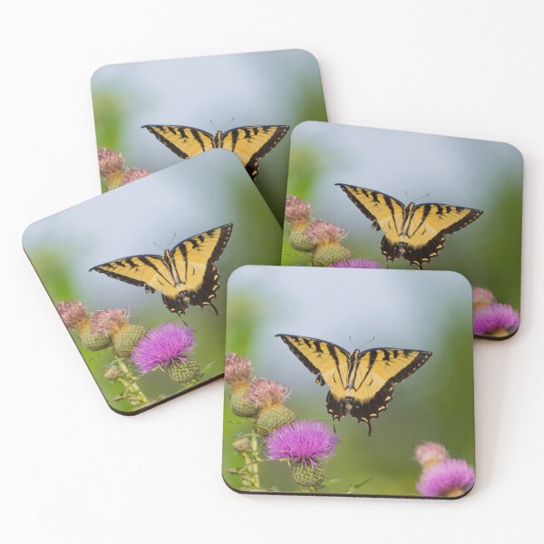 Item preview, Yellow Tiger Swallowtail photographed  just after taking off.  designed and sold by South 500 Photography.