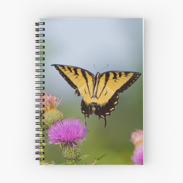 Item preview, Yellow Tiger Swallowtail photographed  just after taking off.  designed and sold by South 500 Photography.