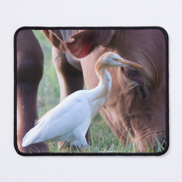 Item preview, Cattle Egret and friend designed and sold by BirdsAlive.