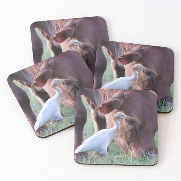 Item preview, Cattle Egret and friend designed and sold by BirdsAlive.
